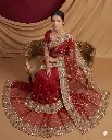 Red Elegant Saree with Intricate Zari Embroidered Detailing